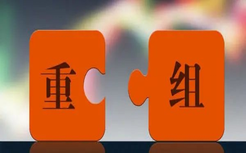 IPO改制重組的關(guān)注要點及流程（2）
