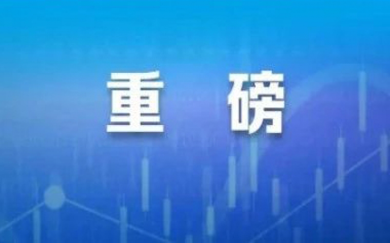 打擊資本市場財務(wù)造假，最新政策來了